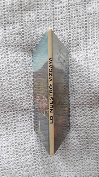 LIBRO "LO NUESTRO: VIZCAYA "