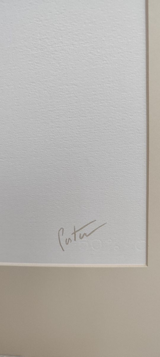 Acuarela original de Pastor