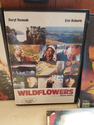 Lote 6 películas DVD