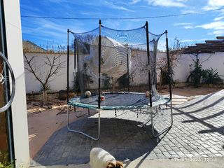 Cama elástica. Trampolín