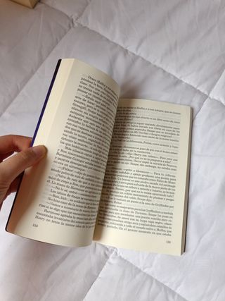 Harry Potter y la piedra filosofal (Harry Potter 1)