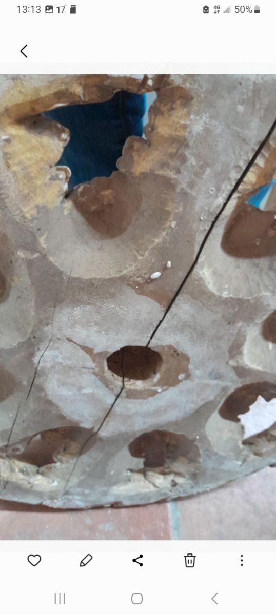 Ojo buey talla incunable retablo