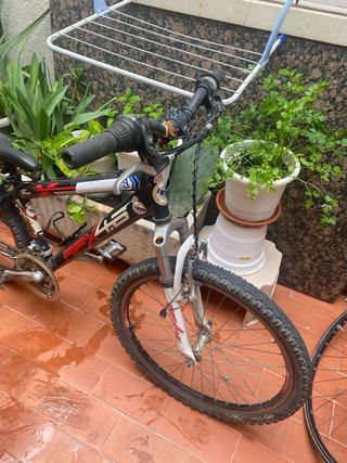 Bicicleta