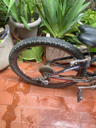 Bicicleta
