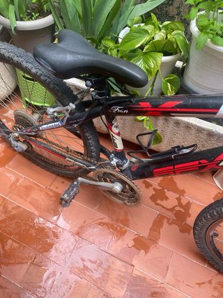 Bicicleta