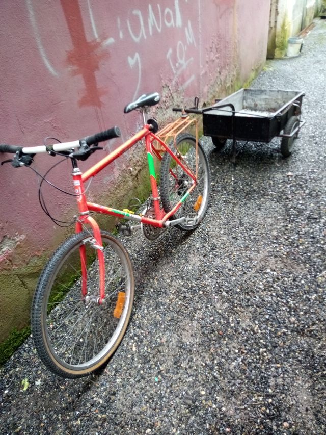 Bicicleta mountain bike