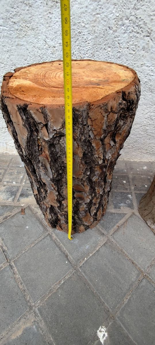 Tronco de pino seco