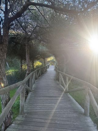 Alquiler apartamento Rota