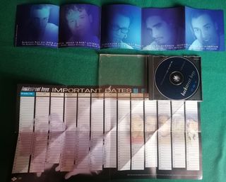 A night out with the Backstreet Boys