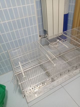 Jaula aves pájaros grandes