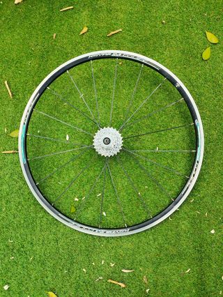 Rueda Mavic Aksyum trasera 