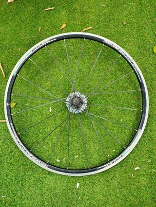 Rueda Mavic Aksyum trasera 