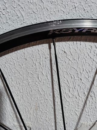 Rueda Mavic Aksyum trasera 
