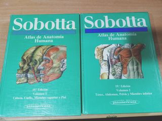 Sobotta Atlas de Anatomía Humana