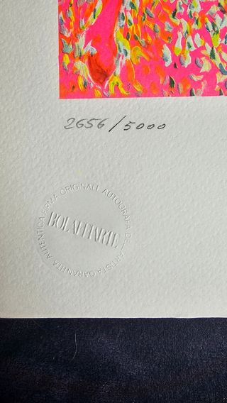 Litografie Bolaffi arte