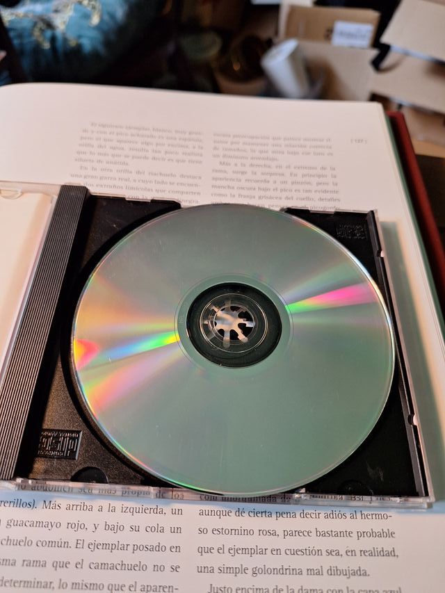 CD usado the doors