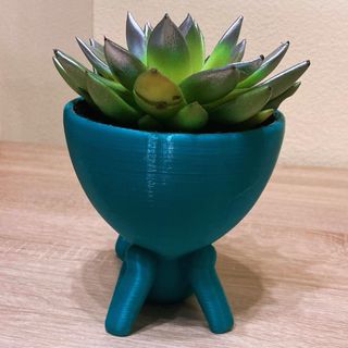 Maceta Robert Soñador