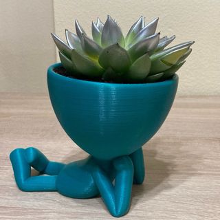 Maceta Robert Soñador