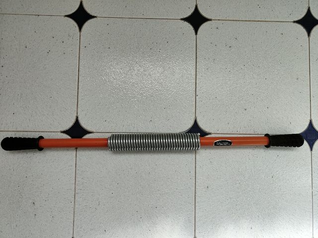 Muelle gimnasio SALTER. Buen estado.