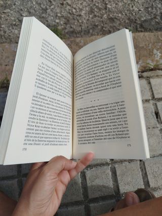 Princep de la boira, el