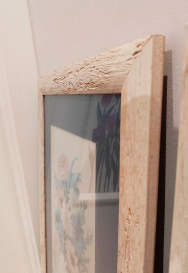 Cuadros láminas flores