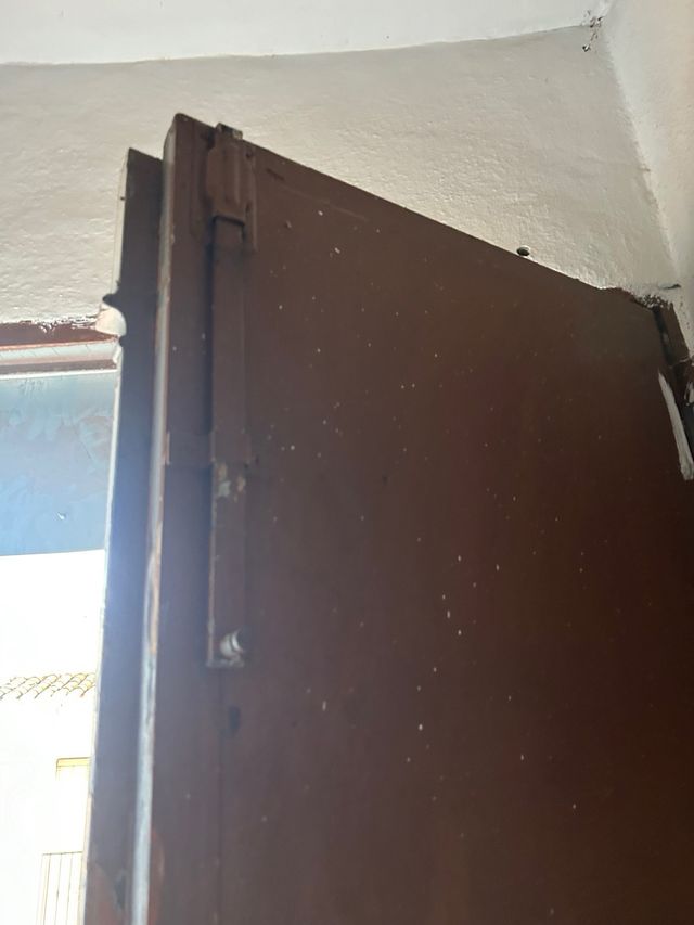 Puerta exterior de chapa