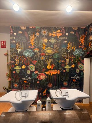 TRASPASO SALON DE AUTOR. 2 plantas