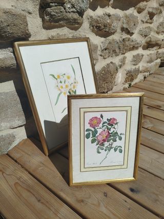 HOY Cuadro de flores (UNIDAD)