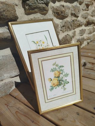 HOY Cuadro de flores (UNIDAD)