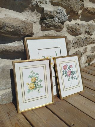 HOY Cuadro de flores (UNIDAD)