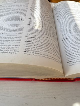 Diccionario de Secundaria y Bachillerato (DICCI...