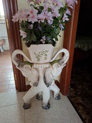 Pie maceta elefante