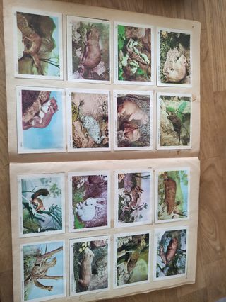 Album de cromos de Zoología