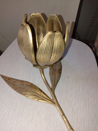 Flor cenicero