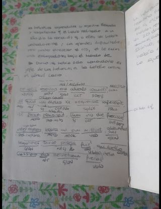 La guerra de las Galias (en latín)