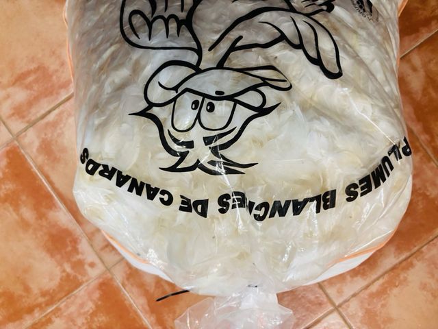 Plumas de pato de origen Frances 1 Kg