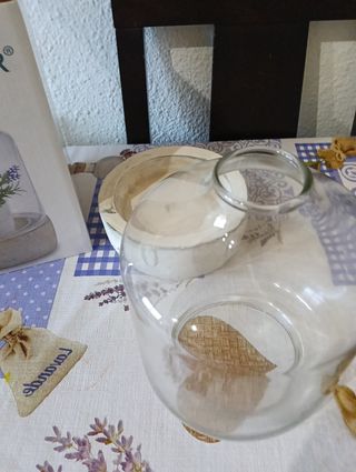 Macetero invernadero