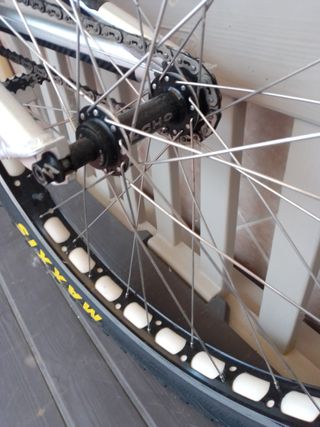 Bicicleta de trial echo de 26``