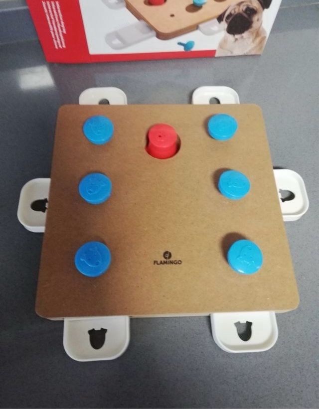 Juego destreza perros