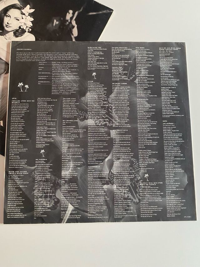 Vinilo Gloria Estefan Mi Tierra