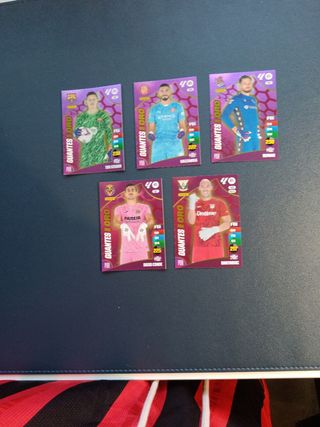 Cromos Adrenalyn 24-25