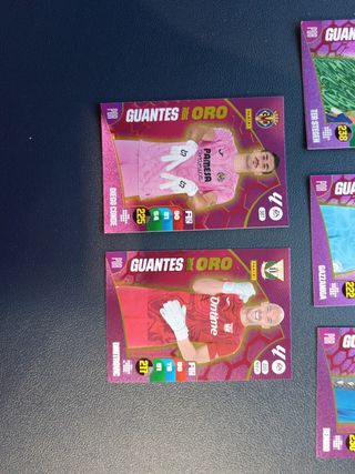 Cromos Adrenalyn 24-25