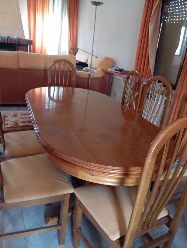 Mesa de salón y 12 sillas