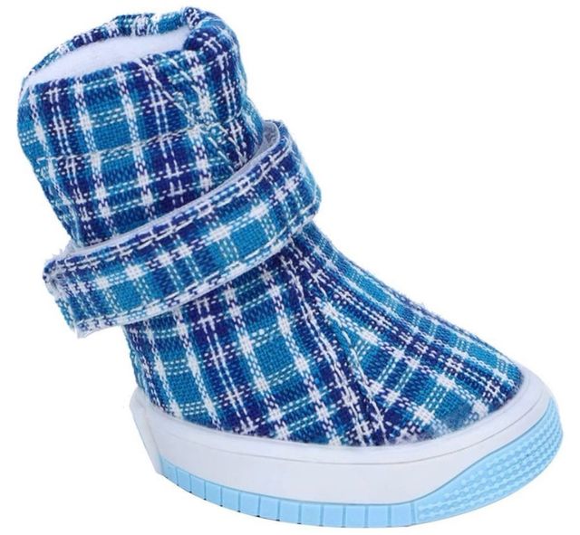 Scarpe sportive per cani