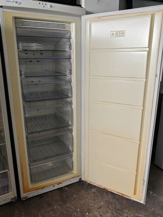 Nevera + congelador de regalo