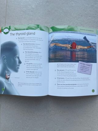 Encyclopedia of Body