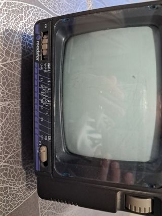 Mini television