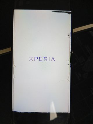 Sony Xperia XA1 Plus - Schermo e custodia rotti