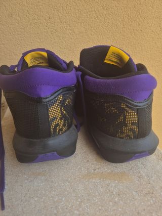 Nike Lebron Hombre Witness 8