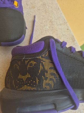 Nike Lebron Hombre Witness 8